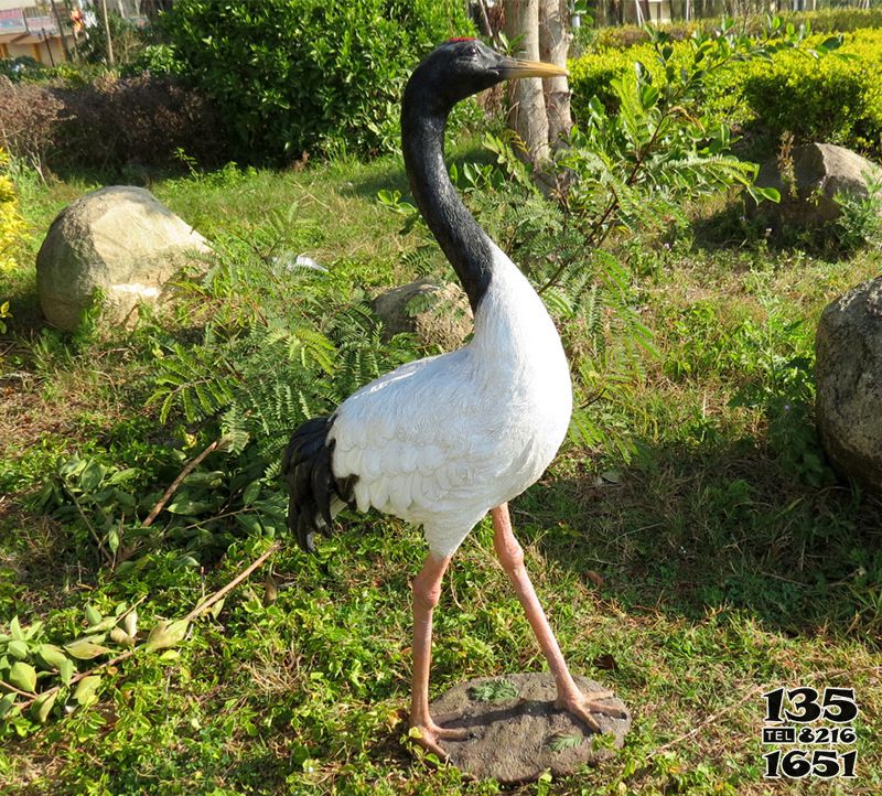 仙鶴雕塑-戶外玻璃鋼彩繪仿真動(dòng)物公園景觀仙鶴雕塑高清圖片