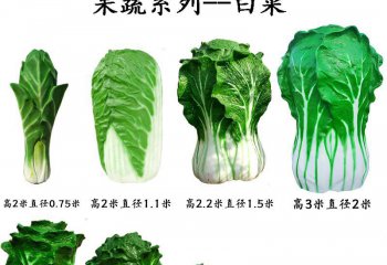 白菜雕塑-玻璃鋼果蔬白菜裝飾品雕塑