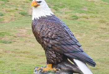 老鷹雕塑-動物園一只孤獨(dú)的樹脂老鷹雕塑