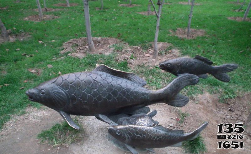 鯉魚(yú)雕塑-公園擺放的一大兩小的玻璃鋼鯉魚(yú)雕塑高清圖片