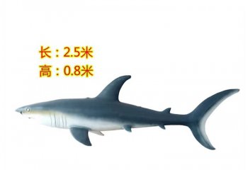 玻璃鋼仿真鯊魚(yú)雕塑-海洋館仿真鯊魚(yú)雕塑